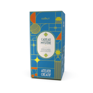 cadeau mystère cookut atelier créatif (1)