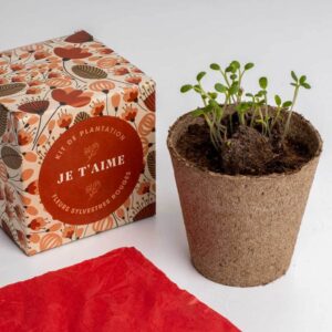 kit de plantation de fleurs je t'aime sylvestres rouges resetea (1) (1)
