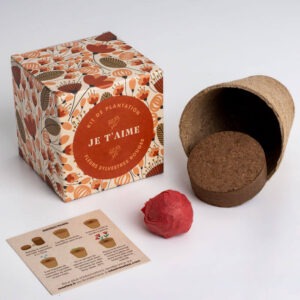 kit de plantation de fleurs je t'aime sylvestres rouges resetea (1) (1)