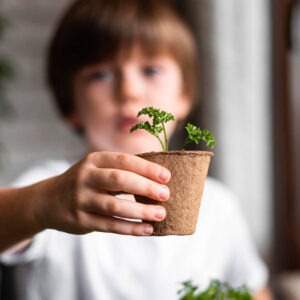 petit pot de culture jardin ma première récolte (6)