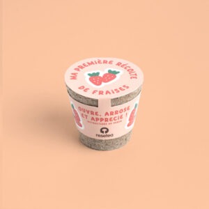 petit pot de culture jardin ma première récolte de fraises resetea (2)
