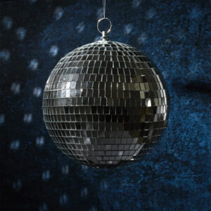 EA10307 boule à facettes disco argentée (1)
