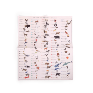 Décalcomanies + mappemonde Animaux du monde moulin roty (1)